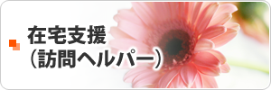 在宅支援（訪問ヘルパー）